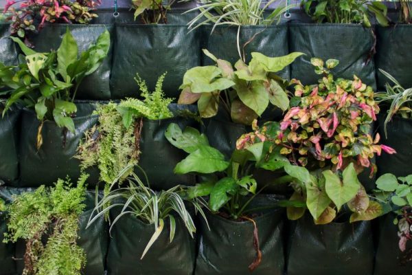 harga plastik polybag per kg