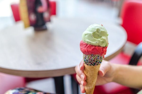 distributor mesin ice cream