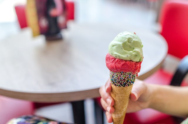 distributor mesin ice cream
